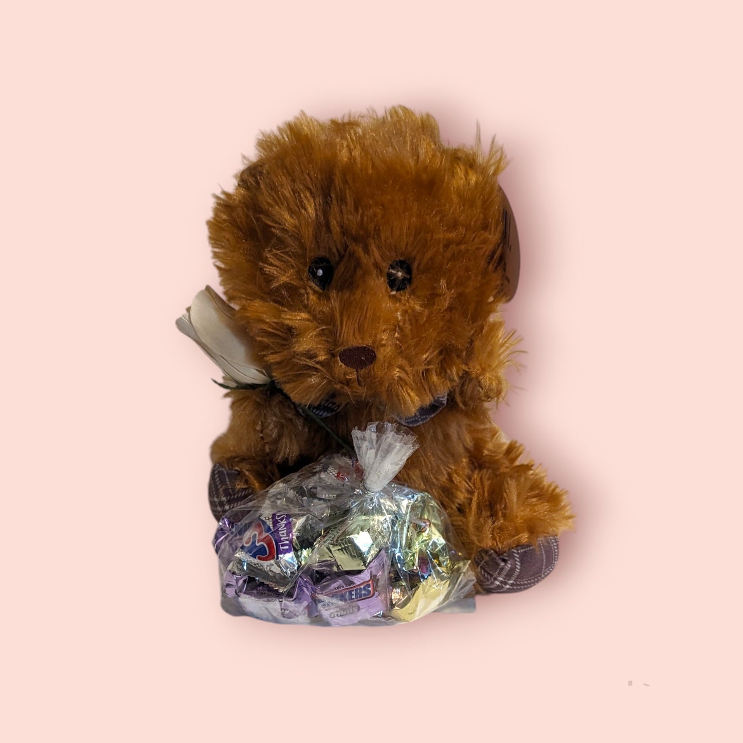 Teddy Bears with wooden rose/bag of candy