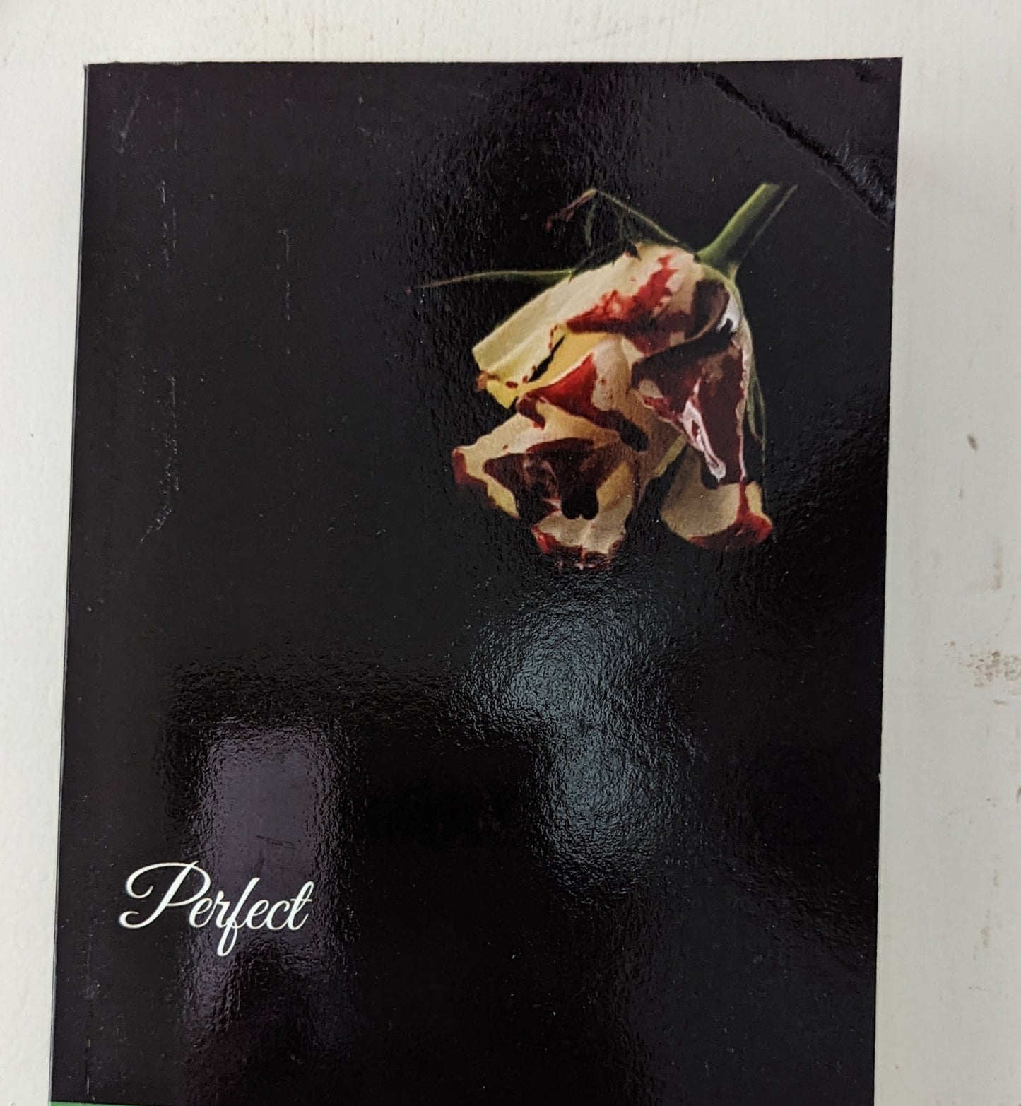 Fictional/Urban Novel-Perfect